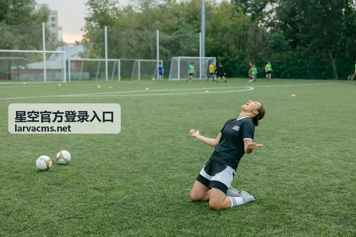 星空官方登录入口安全设置界面预览